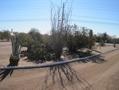 Cactus Garden in Front Yard