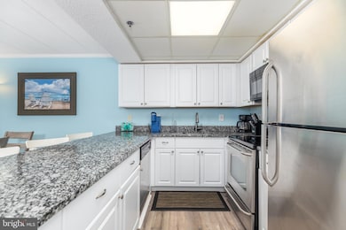 Bay Princess unit 204, Ocean City, MD 21842 - photo 4