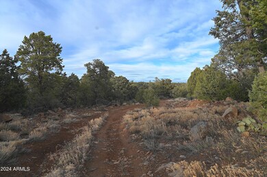 51844 N Cordero Rd unit 3383, Seligman, AZ 86337 - photo 4