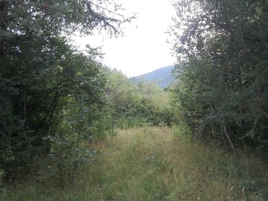 rte 3 Main St St, Colebrook, NH 03576 - photo 4