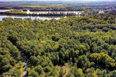 Lot 63 & 63A Riverview Landing Dr, Camden, AL 36726 - photo 6