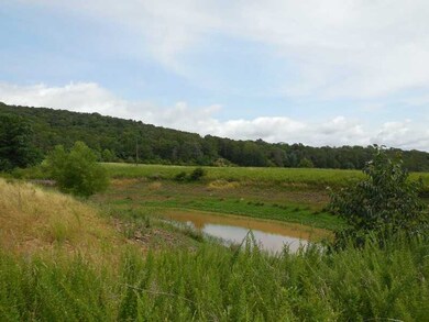 59 Acres Hyde (Wc 3270) Rd, West Fork, AR 72774 - photo 4