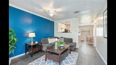 Open concept living space down stairs