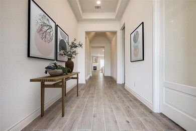 703 Esk Ave, Celina, TX 75009 - photo 4