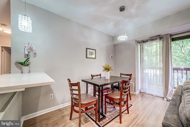101 Skyhill Rd unit 204, Alexandria, VA 22314 - photo 4