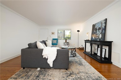 Large living room with tons of natural light and gleaming hardwood floors.