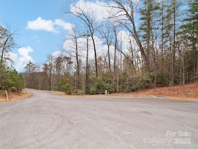 0 Springhouse Trail unit 15 CAR4228686, Brevard, NC 28712 - photo 5