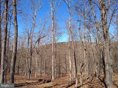 0 3 Pine Trail Dr unit WVHD105906, Old Fields, WV 26845 - photo 6