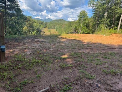 Lot 7 Snow Hill Rd, Franklin, NC 28734 - photo 4
