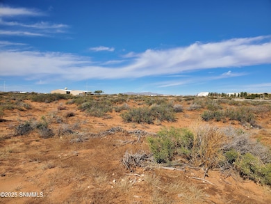 8851 Trigg Loop, Las Cruces, NM 88007 - photo 4