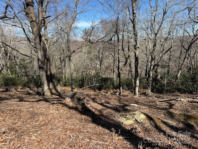 Lot 240 Thunder Wood Trail unit 240, Blowing Rock, NC 28605 - photo 7
