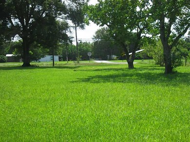 Land/Lot. View from back
