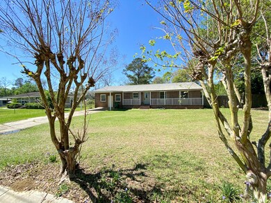 155 Jackson St NE, Baconton, GA 31716 - photo 3