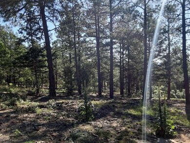 H4 (Forest)