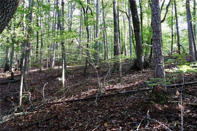 0 Saw Blade Ln unit 7645556, Ellabell, GA 30540 - photo 6