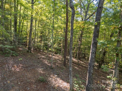 3298 Buffalo Creek Rd, Lake Lure, NC 28746 - photo 3