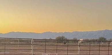 51252 W Buffalo Dog Rd, Aguila, AZ 85320 - photo 3