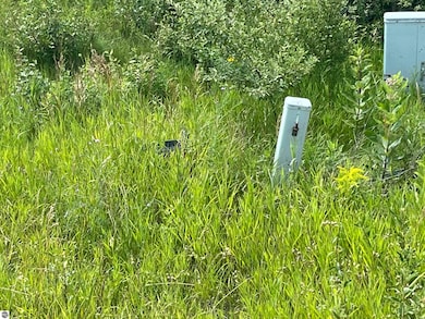 0 M-72 unit 1941046, Williamsburg, MI 49690 - photo 5