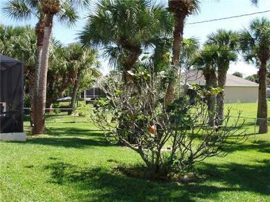 Yard/Garden.