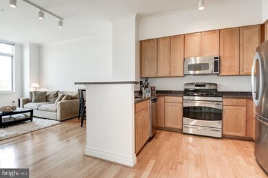 4490 Market Commons Dr unit PH-07, Fairfax, VA 22033 - photo 3