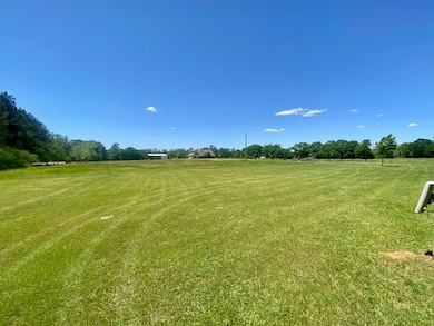 1079 Mount Herman Rd, Osyka, MS 39657 - photo 2