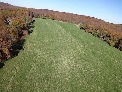 14607 Truelove Rd, West Fork, AR 72774 - photo 5