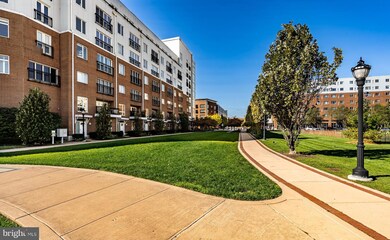 526 Harlan Blvd, Wilmington, DE 19801 - photo 3