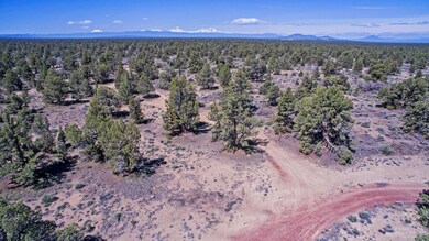 5275 SE Sunny Sage Way, Redmond, OR 97756 - photo 5