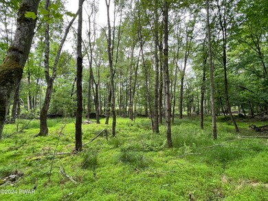 0 Westcolang Rd, Lackawaxen, PA 18435 - photo 7