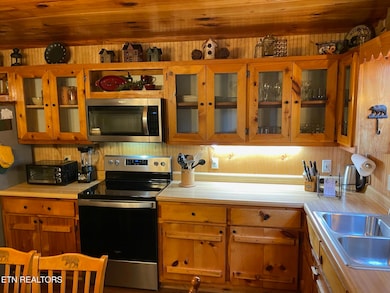 3117 Bear Mountain Ln, Pigeon Forge, TN 37876 - photo 5