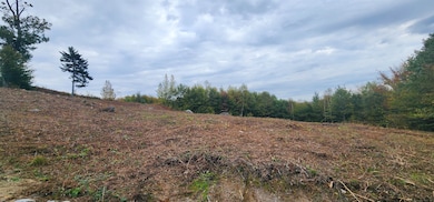 Lot 26 Skyline Dr, Hebron, NH 03241 - photo 6
