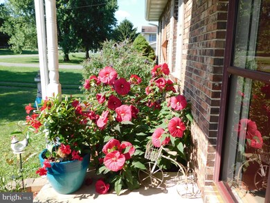 184 Miller Rd, Barto, PA 19504 - photo 3