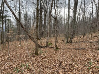 0 Read Farm Ln unit 4839074, Dorset, VT 05253 - photo 7