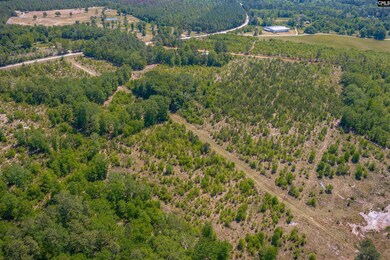 tbd Mack St, Gaston, SC 29053 - photo 7