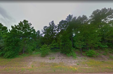 0 Pine St unit Crockett TX 75835, Crockett, TX 75835 - photo 6