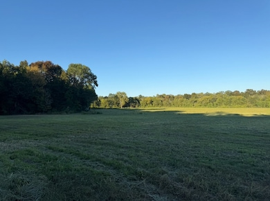 0 Minkslide Rd, Bell Buckle, TN 37020 - photo 4