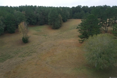 Lot 4-C-2-A Louisiana 421, Saint Francisvle, LA 70775 - photo 4