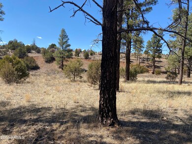 0 Lodge Rd unit 6321486, Aripine, AZ 85933 - photo 2