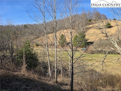 0 Roundabout Rd unit 23357348, Creston, NC 28615 - photo 4