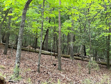 LT595 Jonquil Ln, Ellijay, GA 30540 - photo 6