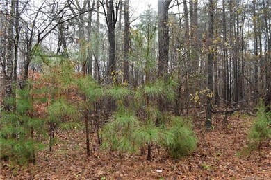 Level lot for a TBB home. 1.77 acres.