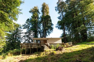 3841 Trinity St, Eureka, CA 95501 - photo 3