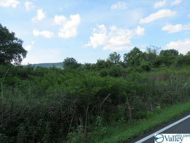 0 Cave Spring Rd unit 1147476, Owens Cross Roads, AL 35763 - photo 6