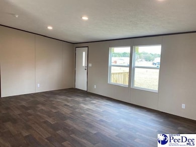 21 McElveen Cir, Lynchburg, SC 29080 - photo 2