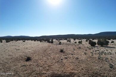 53770 N Via de Oro Pkwy unit 1486, Seligman, AZ 86337 - photo 4