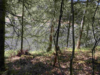 Lot 19 Route 3, Columbia, NH 03576 - photo 5