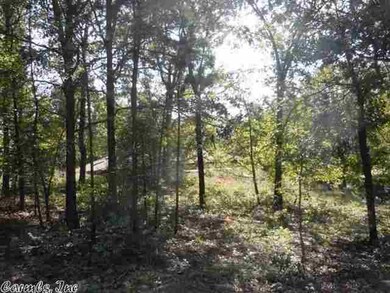 244 Crestwood Rd, Heber Springs, AR 72543 - photo 5