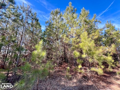 0 Old Claiborne Rd unit 25514029, Thomasville, AL 36784 - photo 6