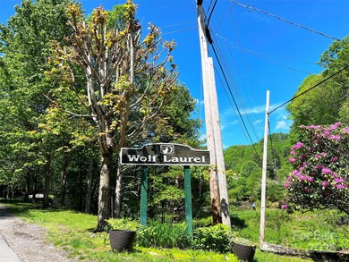 TBD Goldenleaf Rd unit 74, Egypt, NC 28754 - photo 5