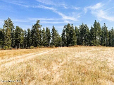 NKA-1 Bill Morris Rd, Plummer, ID 83851 - photo 6